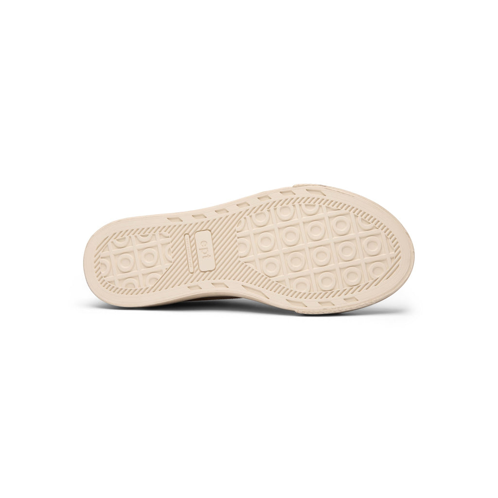 East Pacific Trade Dive  ( Brown Black)