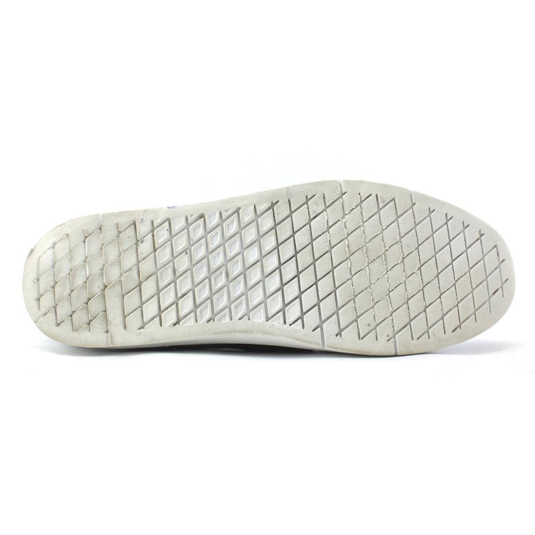 VANS  LXVI GRAPH